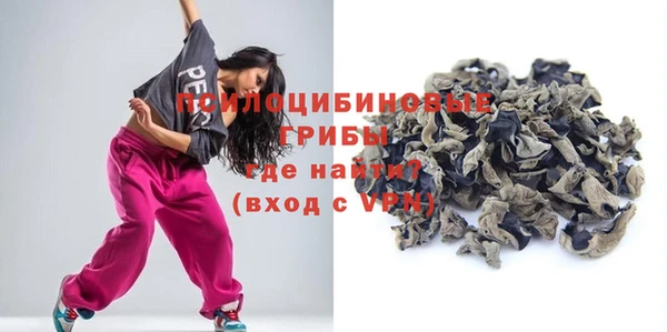 МДПВ Абаза