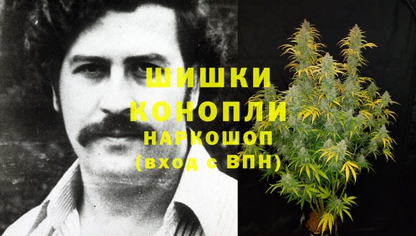 ГАЛЛЮЦИНОГЕННЫЕ ГРИБЫ Абдулино