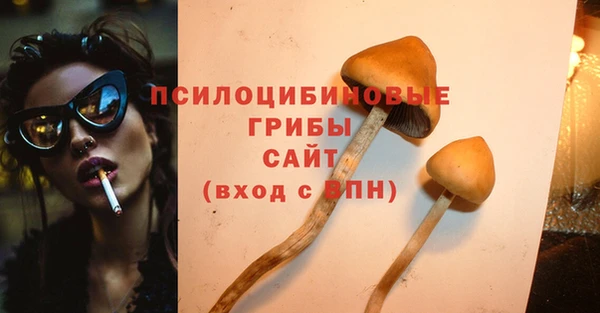 СК Нягань
