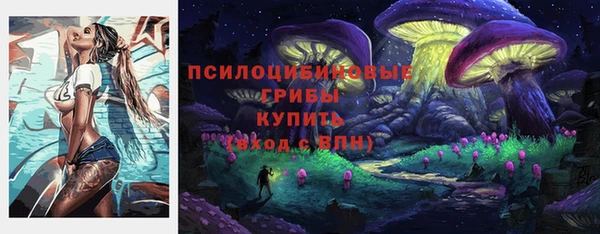 ГАЛЛЮЦИНОГЕННЫЕ ГРИБЫ Абдулино
