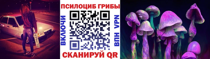 где купить наркоту  Новомичуринск  Псилоцибиновые грибы ЛСД 